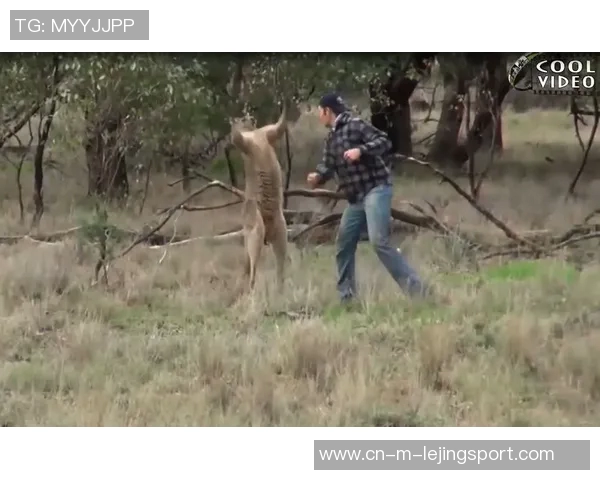 阿曼与澳大利亚激战正酣谁能在这场较量中脱颖而出